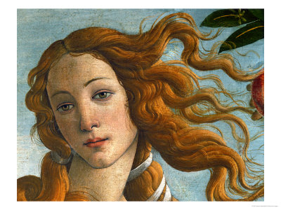 Head of Venus Botticelli